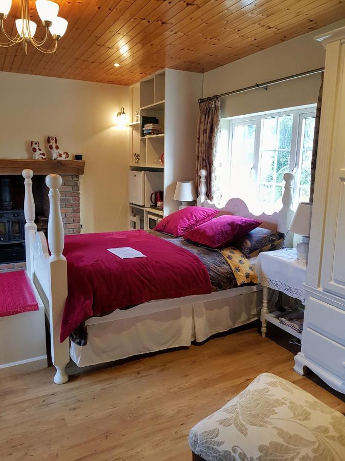 Bed and Breakfast Brookvale à Wellingtonbridge Extérieur photo
